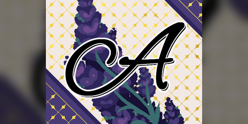 Cover image for Intellectually Attracted: A sapphic Ace Attorney Zine
