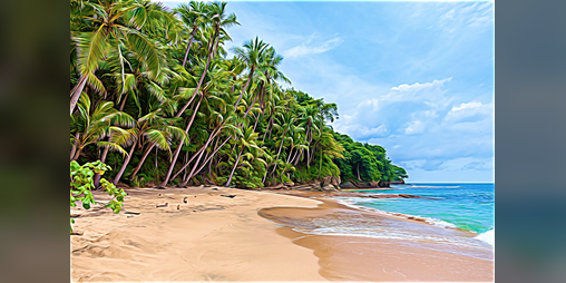 Cover image for Forgotten Island (TALP)