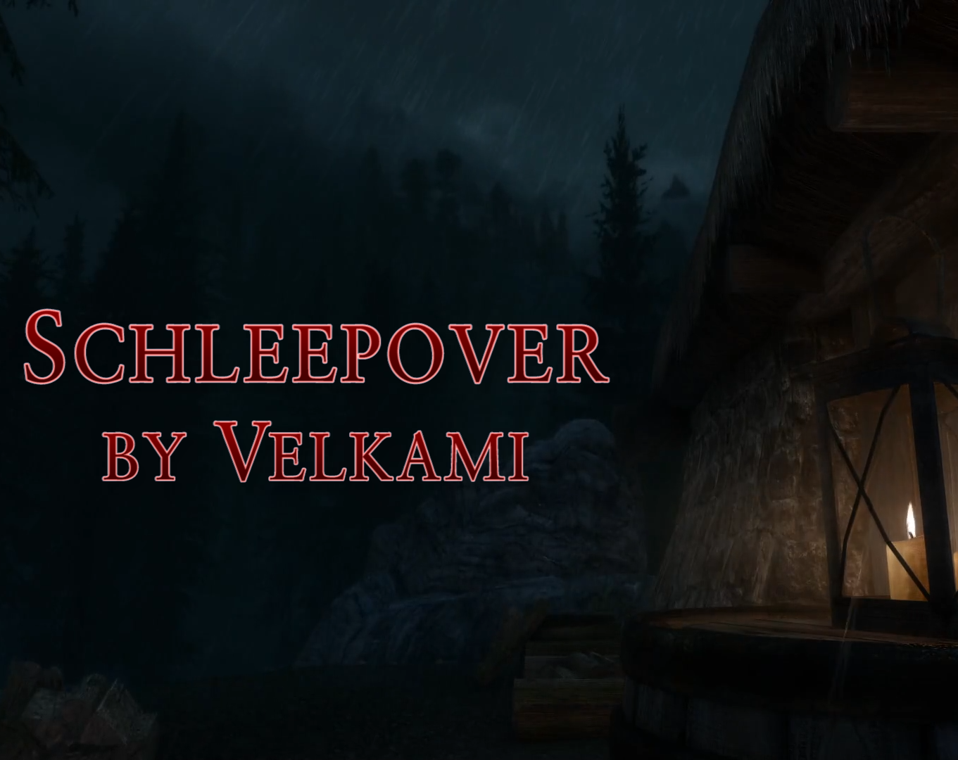 Cover image for Schleepover