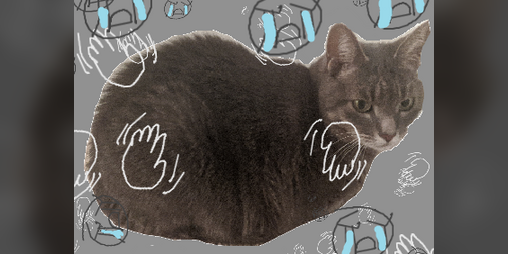 Cover image for zine of my cat with quotes from "farewell my lovely"