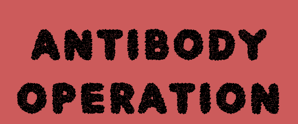 Antibody Operation