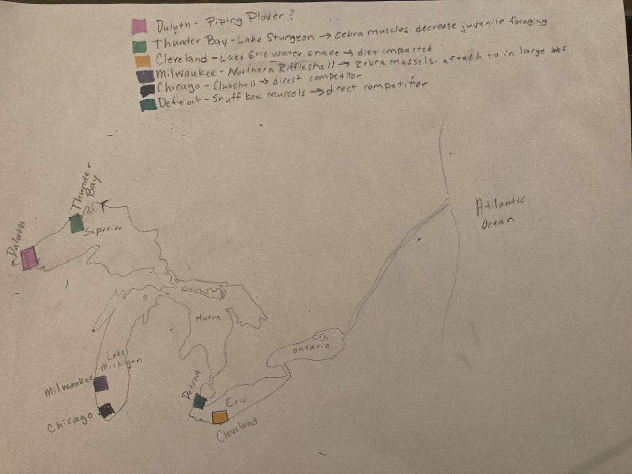 Great Lakes map initial sketch