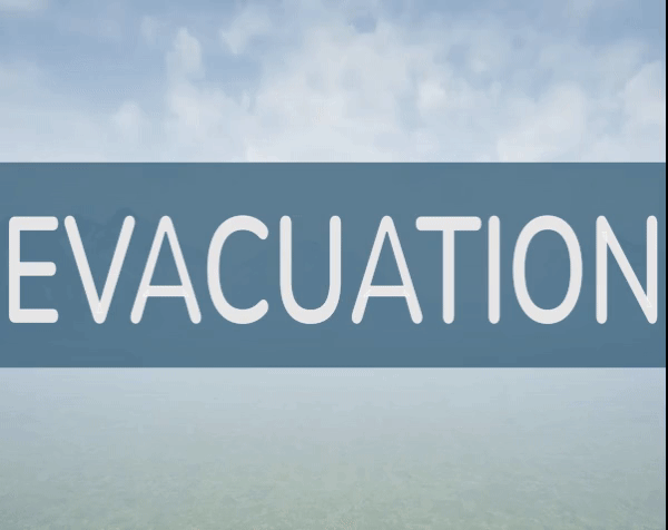 Cover image for Evacuation