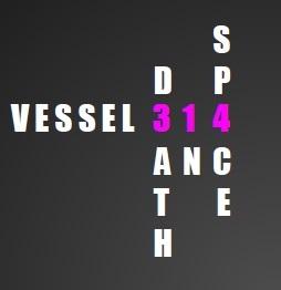 Cover image for VESSEL 314