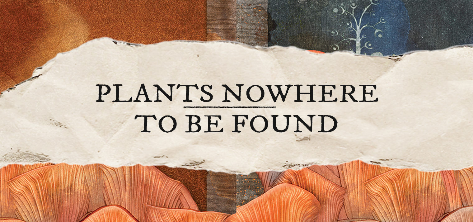 Plants Nowhere to be Found