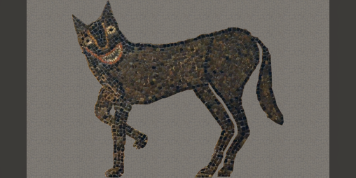 Cover image for Capitoline Wolf Run