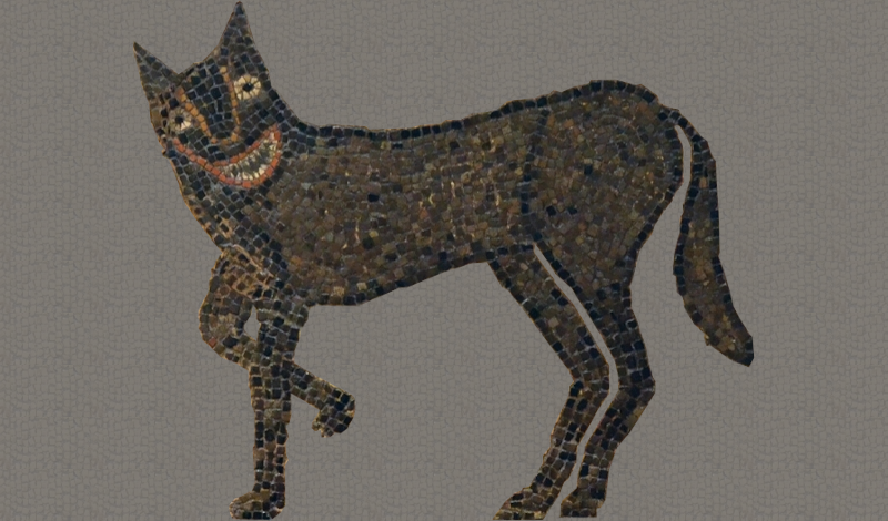 Cover image for Capitoline Wolf Run