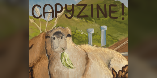 Cover image for Capyzine