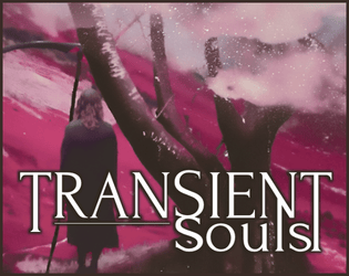 Transient Souls  