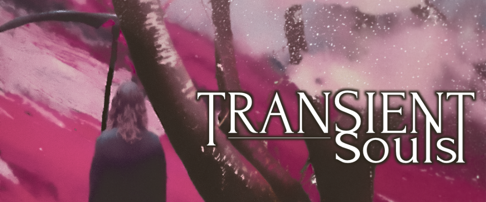 Transient Souls