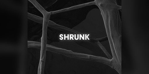 Cover image for SHRUNK