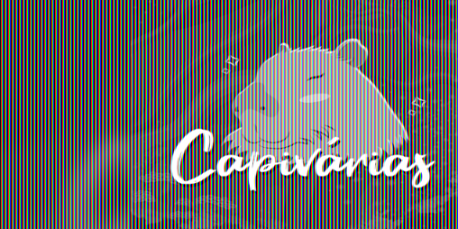 Cover image for Capivárias
