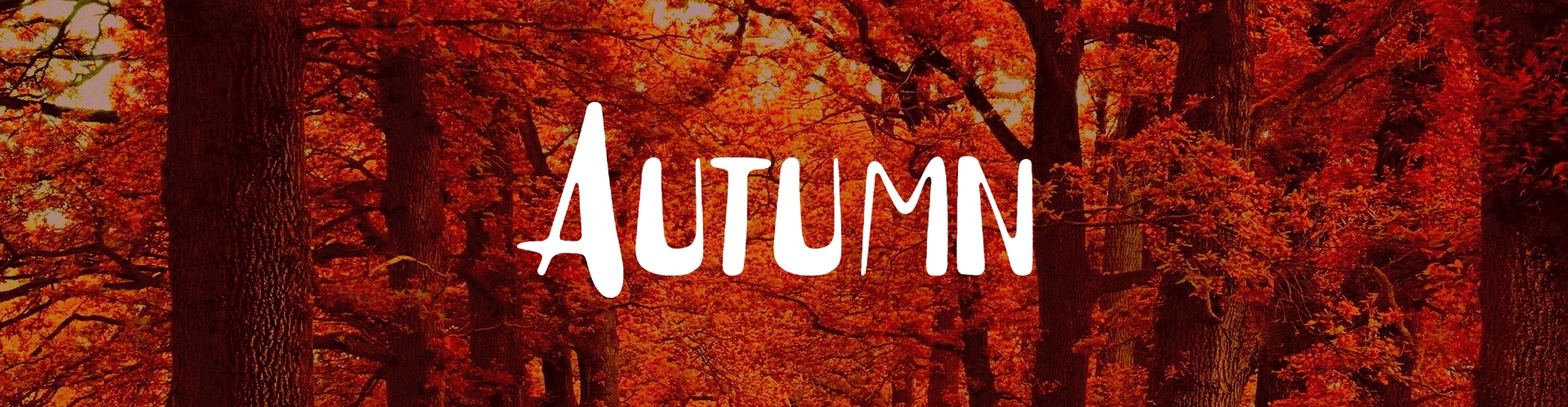 Autumn -spring edition-