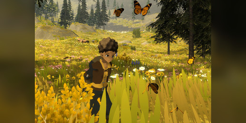 Cover image for Wilderless