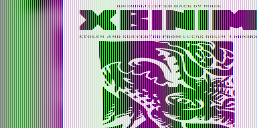 Cover image for XBinim