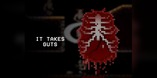 Cover image for It Takes Guts