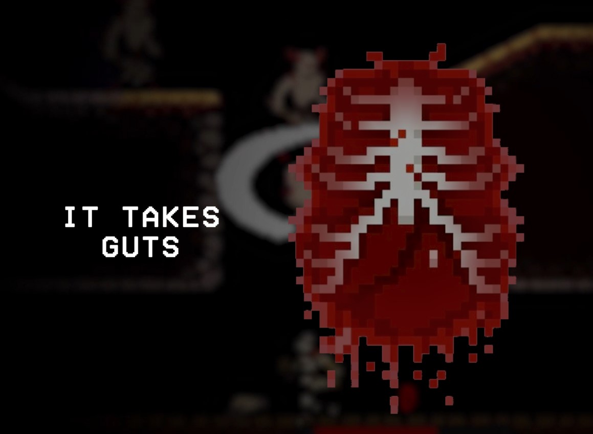 Cover image for It Takes Guts