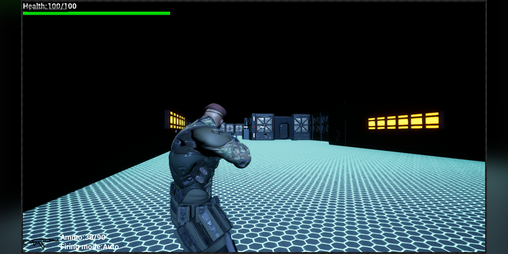 Cover image for Havik's UE4 Shooter