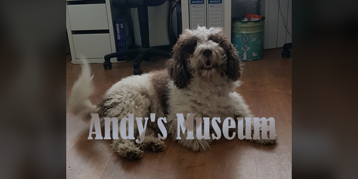 Cover image for Andy's Museum