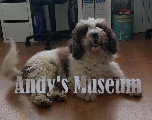Cover image for Andy's Museum