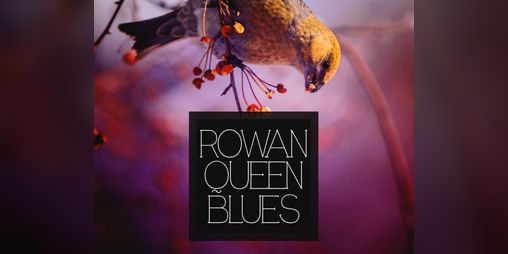 Cover image for Rowan Queen Blues