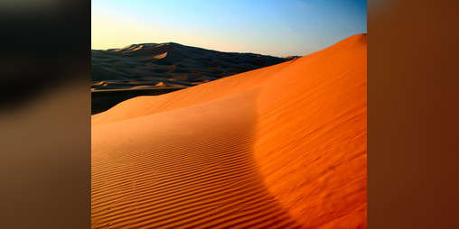 Cover image for Desert Simulator