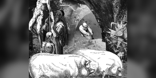 Cover image for The Beloved Underbelly