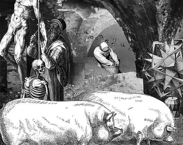 Cover image for The Beloved Underbelly