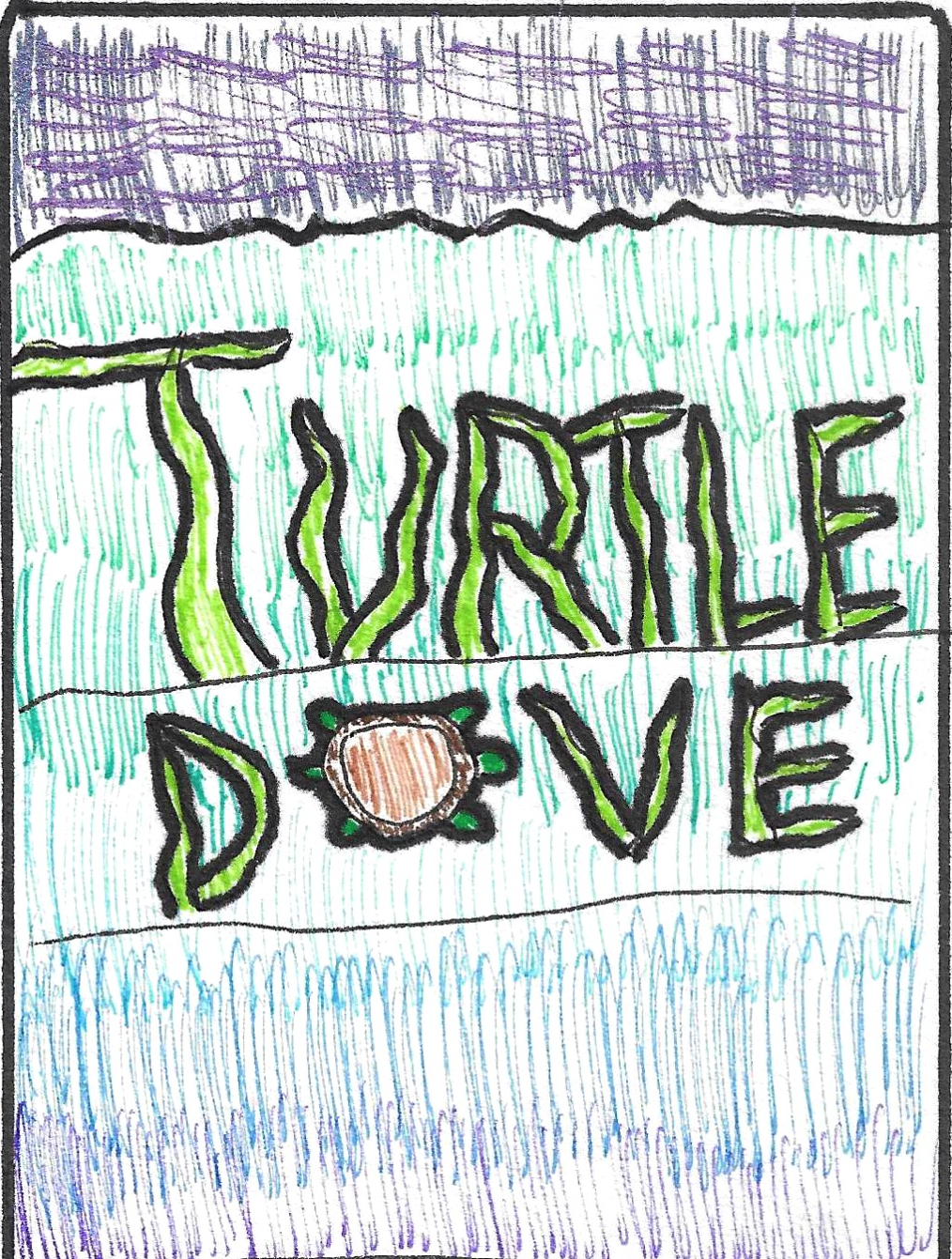 Cover image for Turtledove