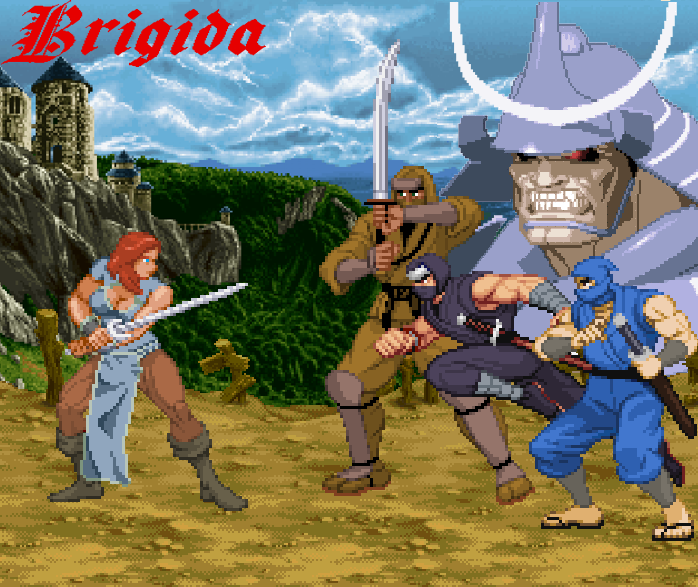 Cover image for Brigida