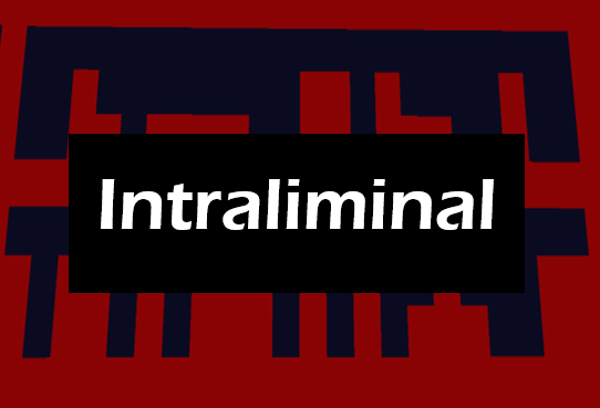 Cover image for Intraliminal