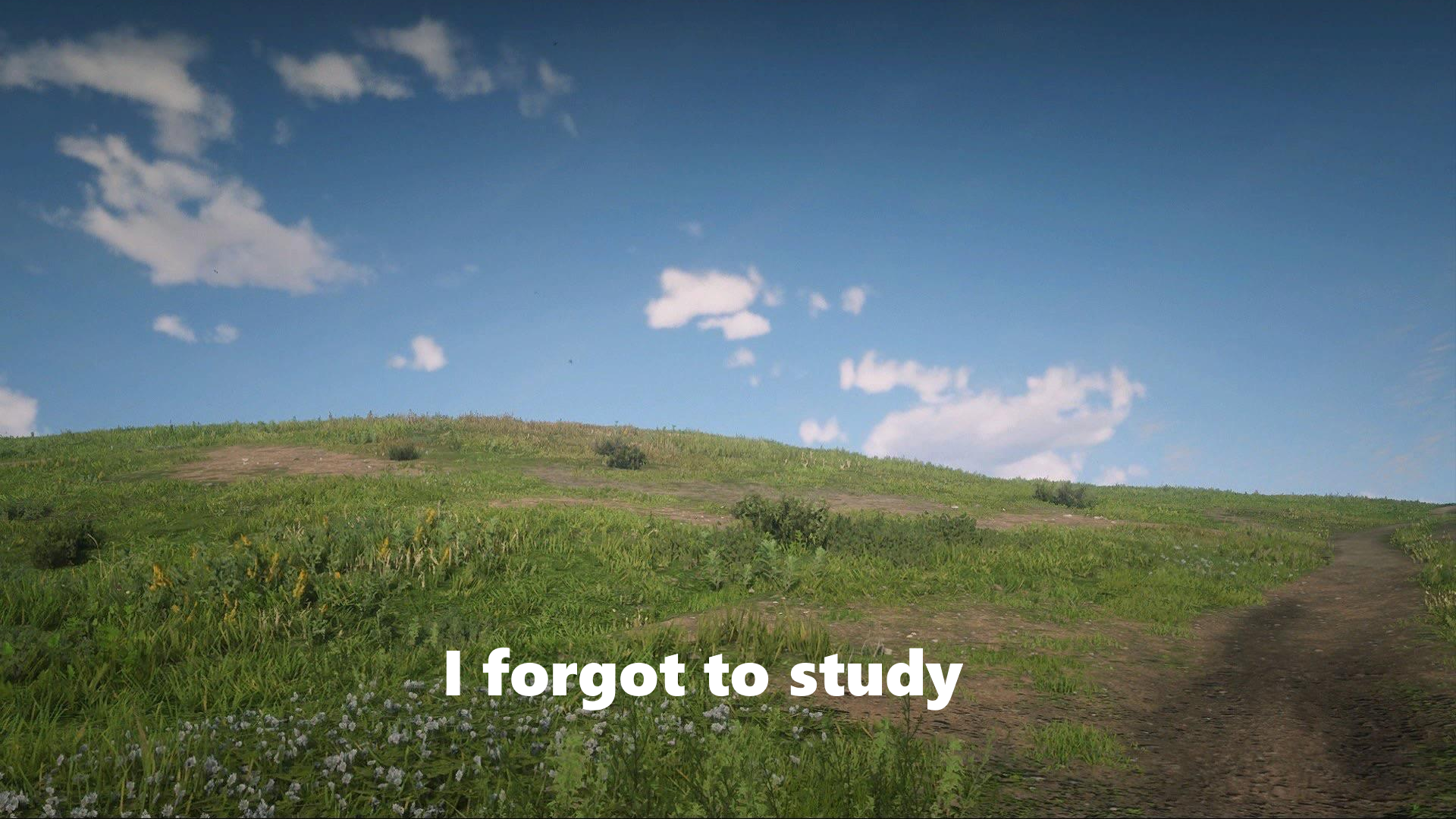 i forgot to study