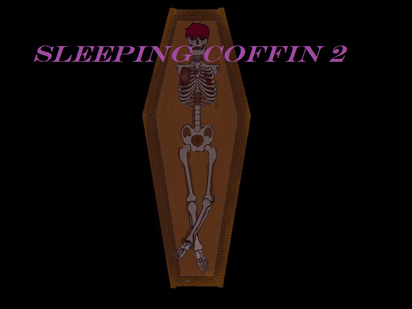Sleeping coffin 2