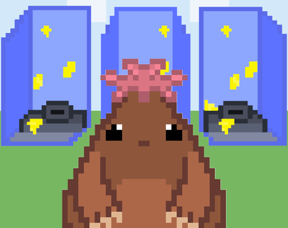 Cover image for Port-A-Moley