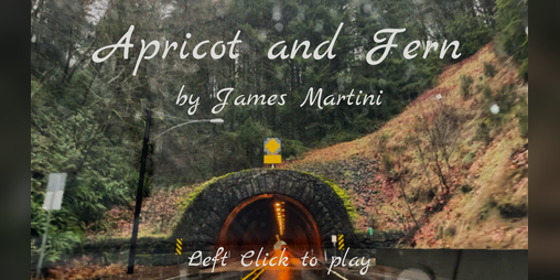 Cover image for Apricot and Fern
