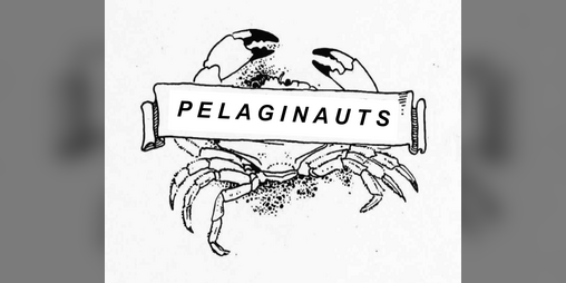 Cover image for Pelaginauts