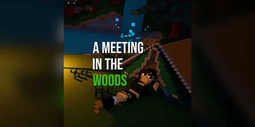 Cover image for A Meeting in the Woods