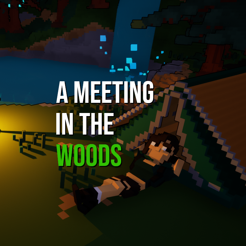 Cover image for A Meeting in the Woods