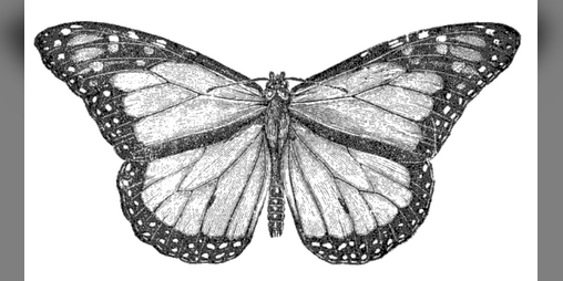 Cover image for Shuddering Light of the Shadowed Monarch