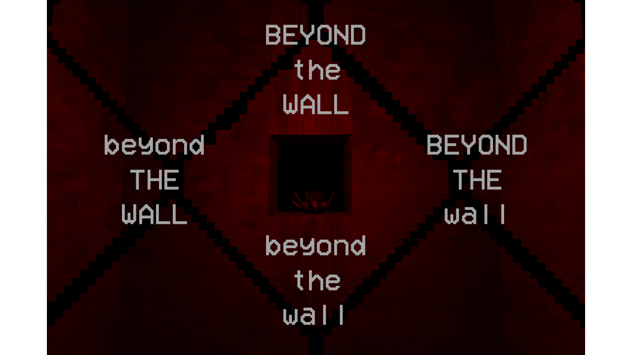 Cover image for Beyond the Wall