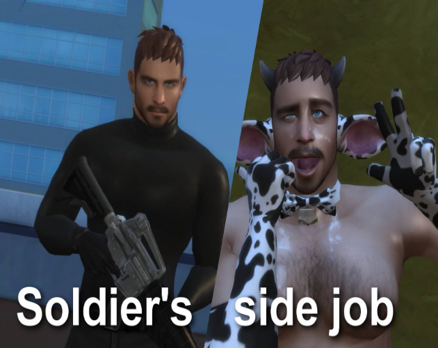 Cover image for Soldier's side job