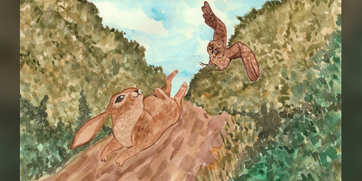 Cover image for Owl and Bunny
