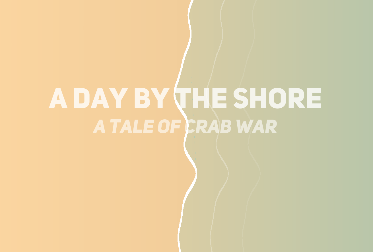 Cover image for Shores
