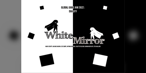 Cover image for White Mirror