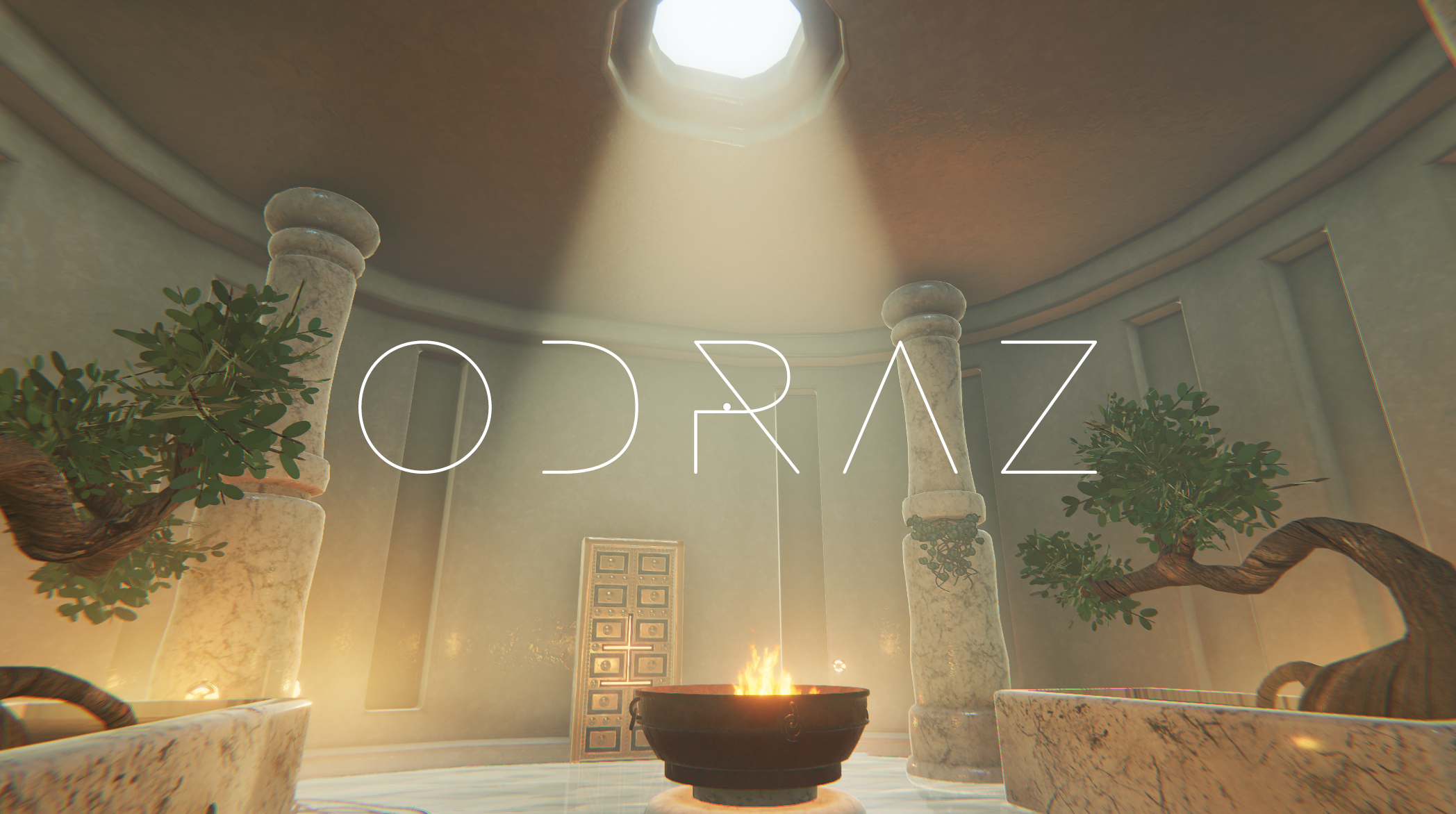 Cover image for Odraz