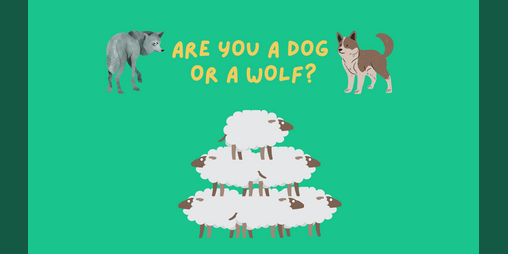 Cover image for Are you a Dog or a Wolf?