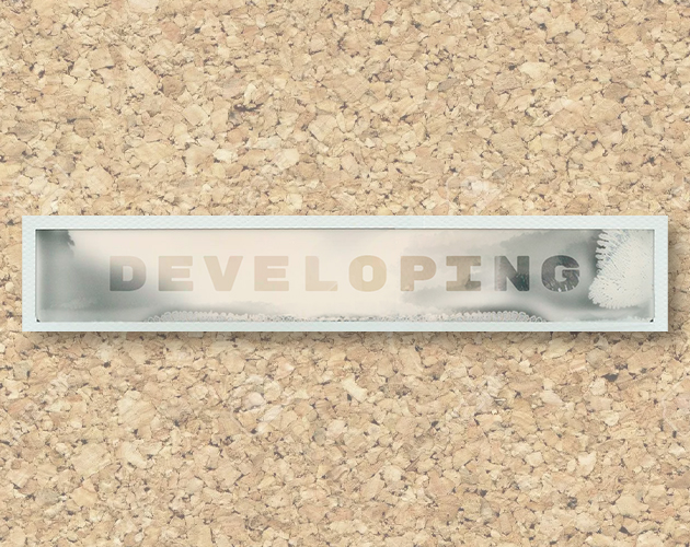 Cover image for DEVELOPING