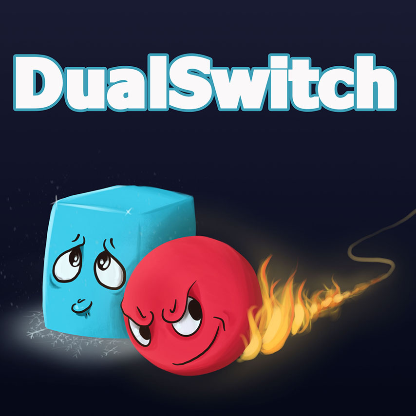 DualSwitch