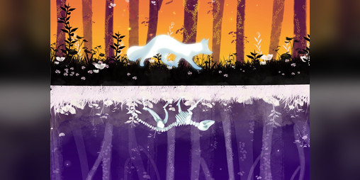 Cover image for Animai