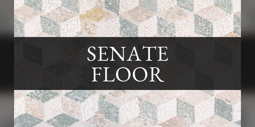 Cover image for Senate Floor